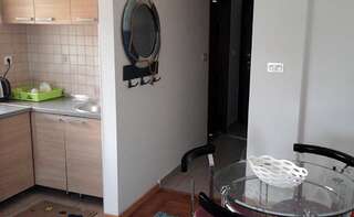 Апартаменты Apartman Billjana Игало Апартаменты с 1 спальней-55